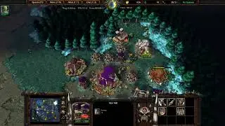 Sleep Has No Cool Down 1v1 Orc Vs Undead Warcraft 3 Champions #227