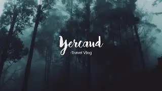 Yercaud - Cinematic Travel Vlog | Incredible India | HD | English | Tamilnadu | Nature | Muhil S K |