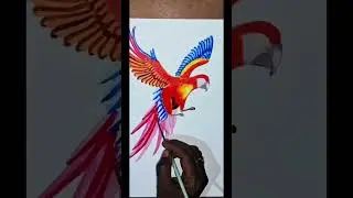 Beautiful Bird painting # in watercolor #For SMD ART VIDEO #