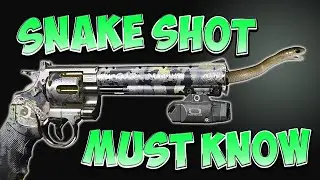 SNAKE SHOT .357 EFFECTIVE RANGE - Quick Guide & Gameplay &ndash; Warzone