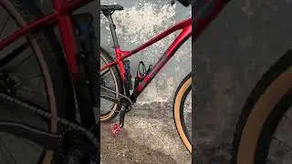 TSW STAMINA