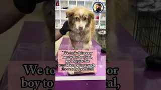 We're bringing a kennel for a dog we rescued last September