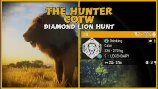 Vurhonga Savannah | Diamond Lion Hunt