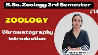Chromatography Introduction | B.Sc. Zoology 3rd Semester | Nayanima Ma'am |