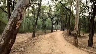 Morning Walk ll Sukhna Lake Reserve Forest Natural Trail II Chandigarh
