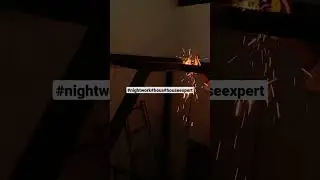 #houseexpert #shorts #shortsvideo