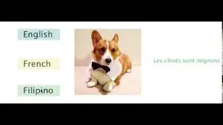 Translator2