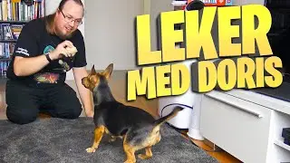 Leker med min hund Doris!