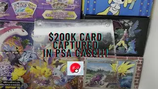 Pokemon PSA Returns #42 - POP 1 $200k+ Pokemon Trophy Card !!!