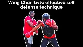 Wing Chun twtc effective self defense technique 