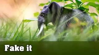 How to Photograph Wildlife with a Macro Lens to Save Money