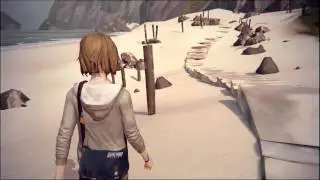 Life is Strange Bug