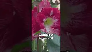 Mind-Blowing Plant Facts You Won't Believe Are True! 🌱🤯
