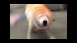 THE MOST POWERFUL DRILL