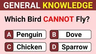 Think You’re Smart Enough to Beat This Quiz? | Only True Geniuses Can Score 100% | Trivia Quiz 158