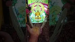 जय श्री श्याम #shyam #shyambaba #khatu #lakhdatar #delhi #delhidiaries #ytshorts #shorts #babashyam