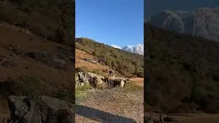 #music #travel #refreshing #mountains
