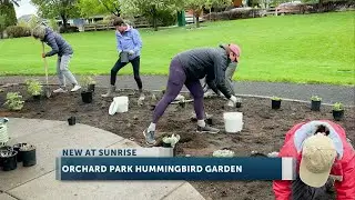 Bend's Orchard Park recieves new hummingbird garden from local valunteers at Polinator Pathway