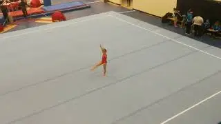 Casey Gold - 9.55 / 10 on floor