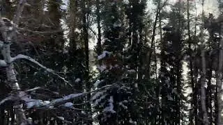 The Canadian - views - Canada