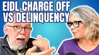 Charge Off vs Delinquent Status | EIDL Hardship | SBA Collection Efforts
