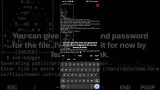 localhost to Public url behind NAT without ngrok in Termux