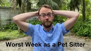 Dealing with Challenges as a Pet Sitter