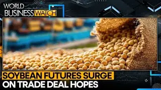 Soybean Futures Rise 1.4% Amid Trade Deal Optimism | WORLD BUSINESS WATCH | WION
