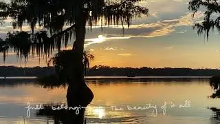 hemlock - Lake Martin (Official Lyric Video)