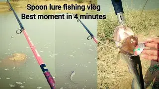 Highlight my spoon lure fishing vlog | Best moment in 5 minutes | boal fish catching 