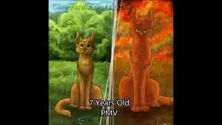 Warrior cats 7 years old