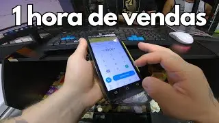 POV Distribuidora de Bebidas