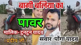 बागी बलिया का पावर //sawar ponga Yadav/ wonar tutun Yadav/ indina Chalbaaz horse 🐎