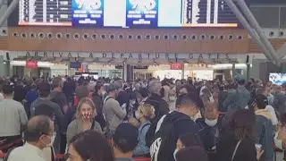 Passengers endure long queues at airport