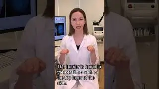 Skin Barrier Function, Learn More for Better Skin with b.glen | Advanced Skincare Tips