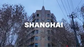 A weekend in Shanghai |Art deco + Adidas Originals for Pets and Dogs| Coffee Shops and Food