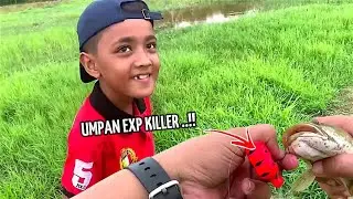 CASTING HARUAN GUNA SOFT FROG EXP CATERPILLAR DI SAWAH PADI!