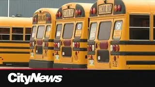 Winnipeg school division hopes for new transit charters next school year