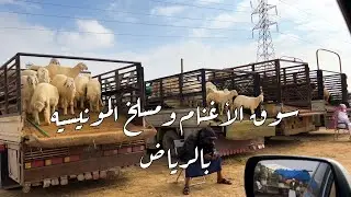 سوق الأغنام ومسلخ المونيسيه بالرياض Sheep market and Al Munisiyah slaughterhousein Riyadh
