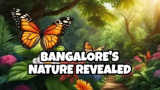 Bannerghatta National Park Butterfly Park | Bangalore Bannerghatta National Park