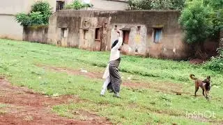 #shorts #dallyvlog #barbil#Belgianmalinois #banajyotsnapetvlog #dogretrieving obedientdog