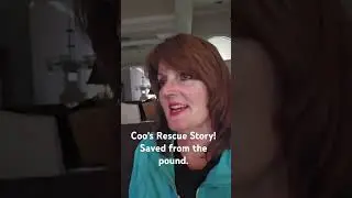 Rescue Story! Saved from the Pound. #coo #dogs #doglovers #rescue #kathrynkaufmann #saved #kat&coo