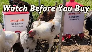 Honest Review- Chicken Feeder and Water Set-Link in Description