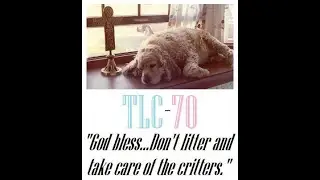 TLC-70 [Mark Anthony DiBello and introducing 