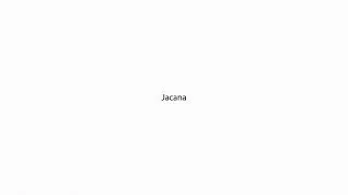 Jacana PRONUNCIATION
