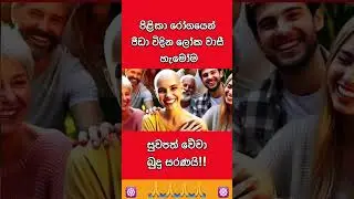 සියලුම පිළිකා රෝගීන් සුවපත් වේවා 🙏 #shorts  #decoration #pooja #sinhalatrending #vialshorts #buddha