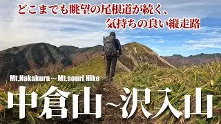 【登山】展望の縦走路 中倉山~沢入山を行く｜日帰りで楽しめる魅惑のコース