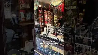Discover the Parisian 