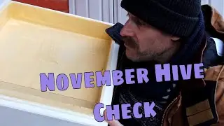 November Hive Temperature and Humidity of my Polystyrene Hives