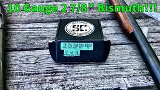 Salt Creek 10GA 2 7/8&rdquo; Bismuth #4 H&R 10 Gauge 36&rdquo; Barrel